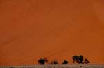 Deserto del Namib