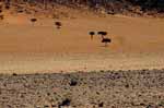 Verso il Deserto del Namib
