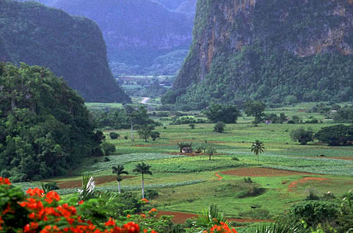 vinales_cuba